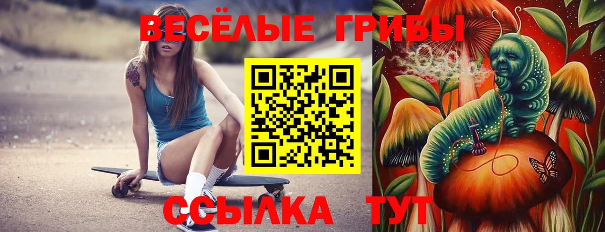 сколько стоит  Псилоцибиновые грибы мицелий  Вход с VPN  Светлоград 